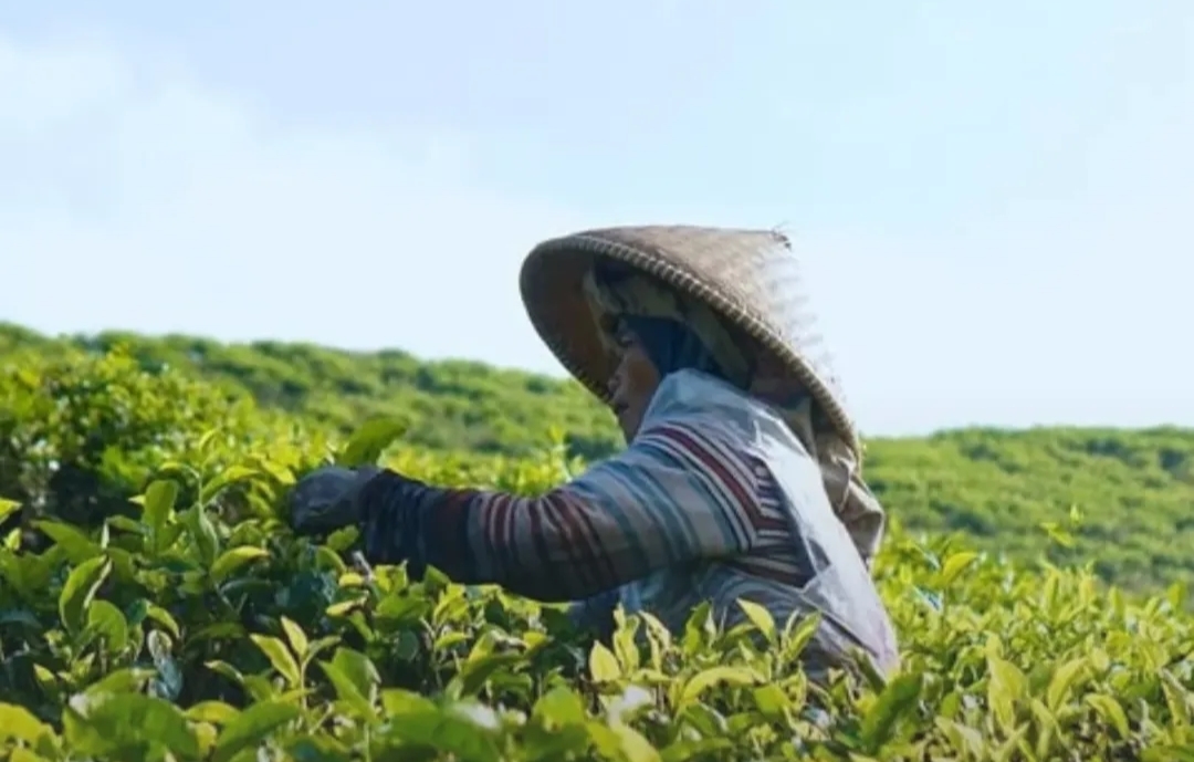 Bidik Pasar Global, Disperindag Jabar Akselerasi Ekspor Kopi, Teh, dan Kakao Melalui WIITEX 2026