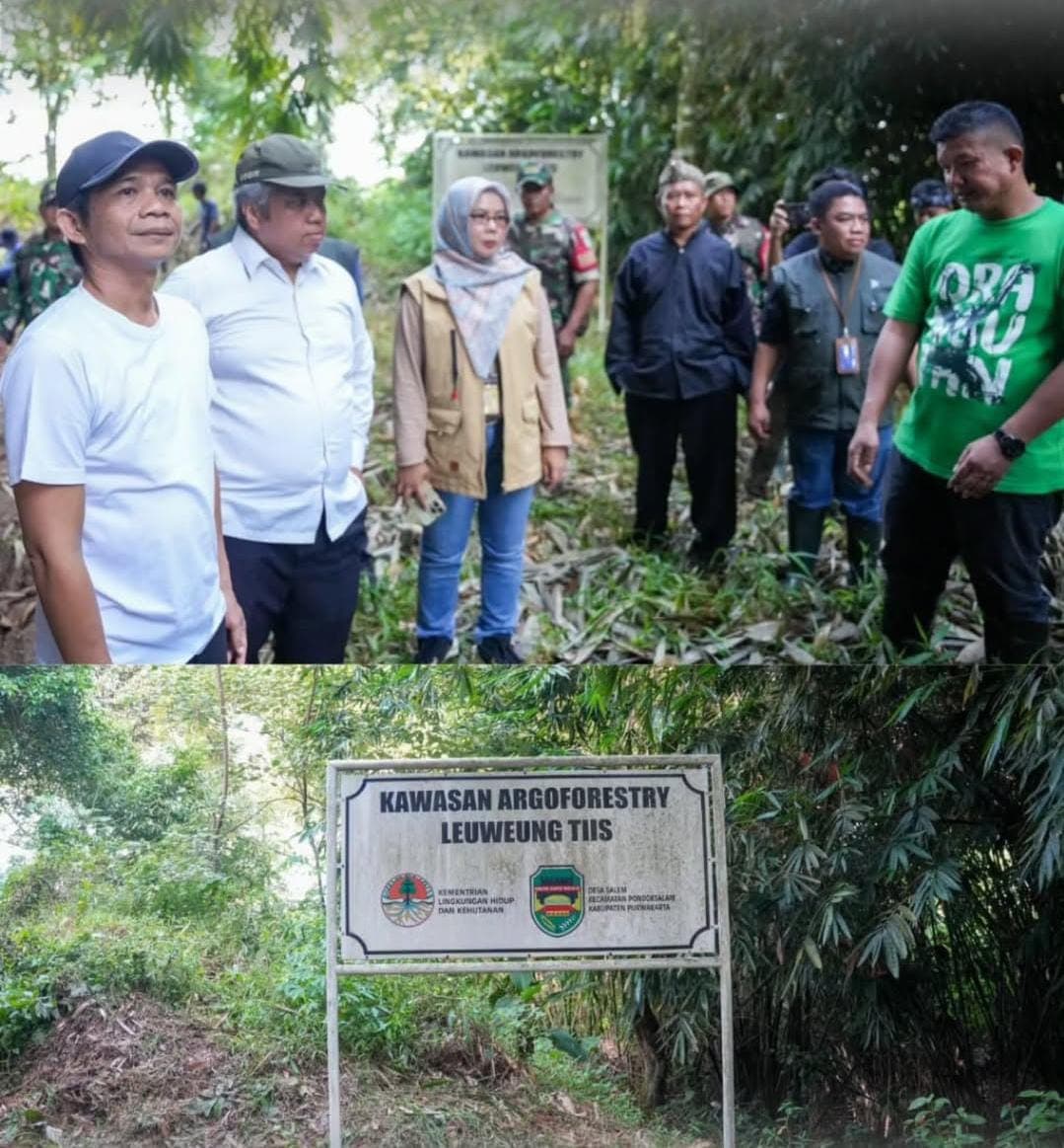 Hijaukan Leuweung Tiis, Upaya Menjaga Ketersediaan Air Bersih di Purwakarta