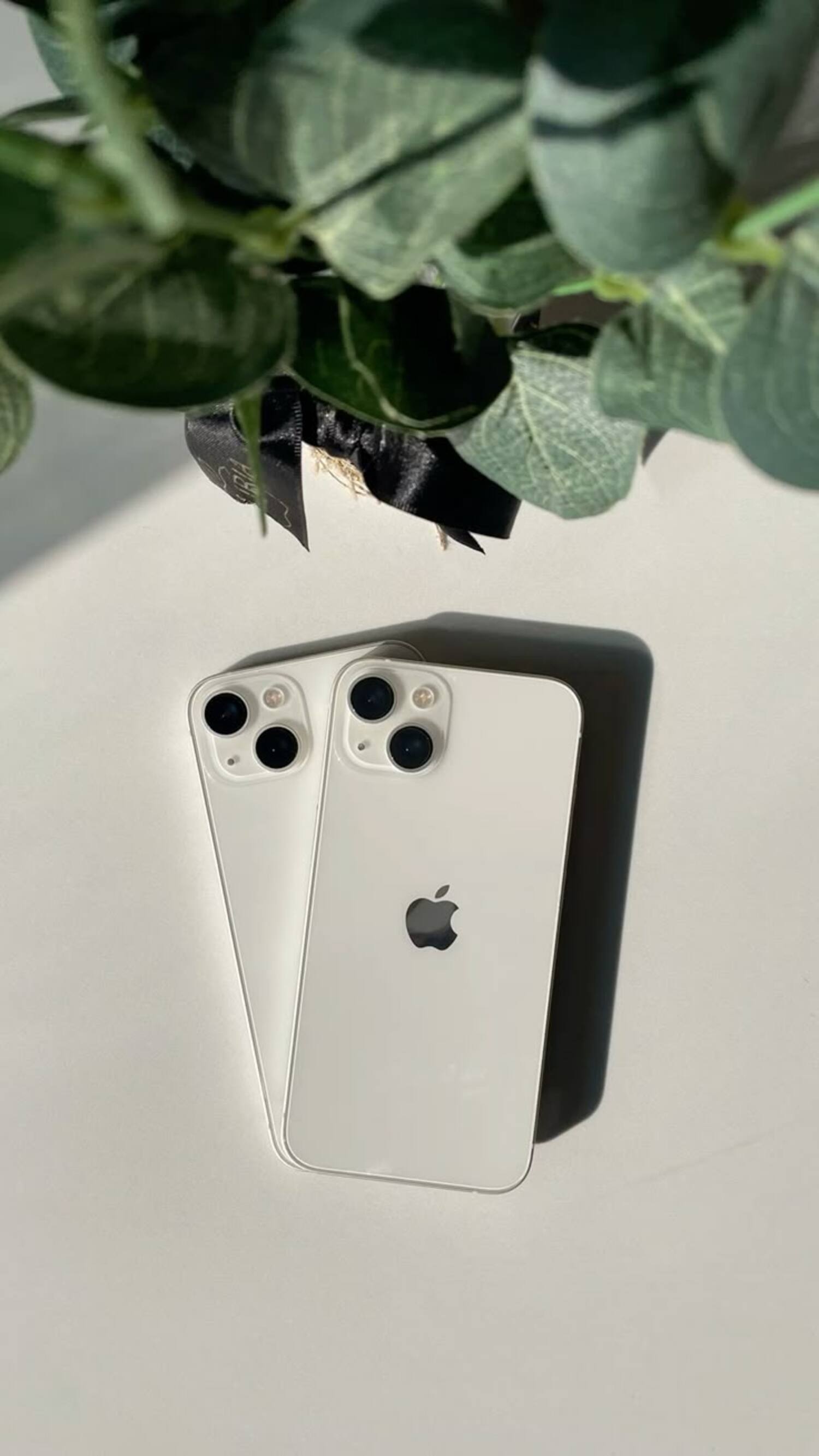 iPhone 13 di 2025: Masih Layak Dibeli? Cek Spesifikasi, Harga, dan Kelebihannya!